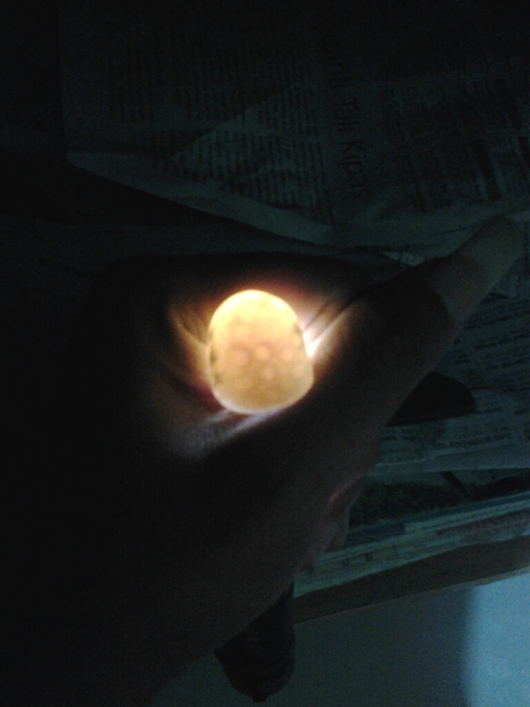 Teratai Kuning Kristal - Sarang Tawon Madu