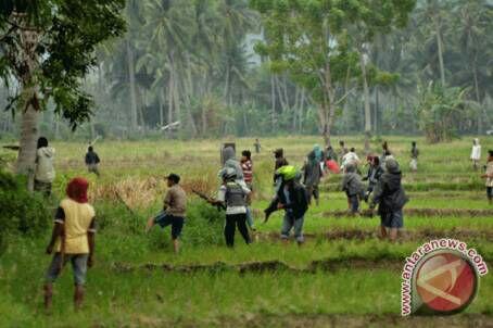 Cinta Indonesia Masuk! Masa Kelam,Perang Suku Yang Pernah Terjadi Di Negri Ini