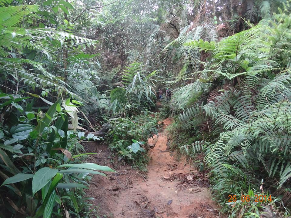 Yuk!! ke Gunung Halimun Salak. 