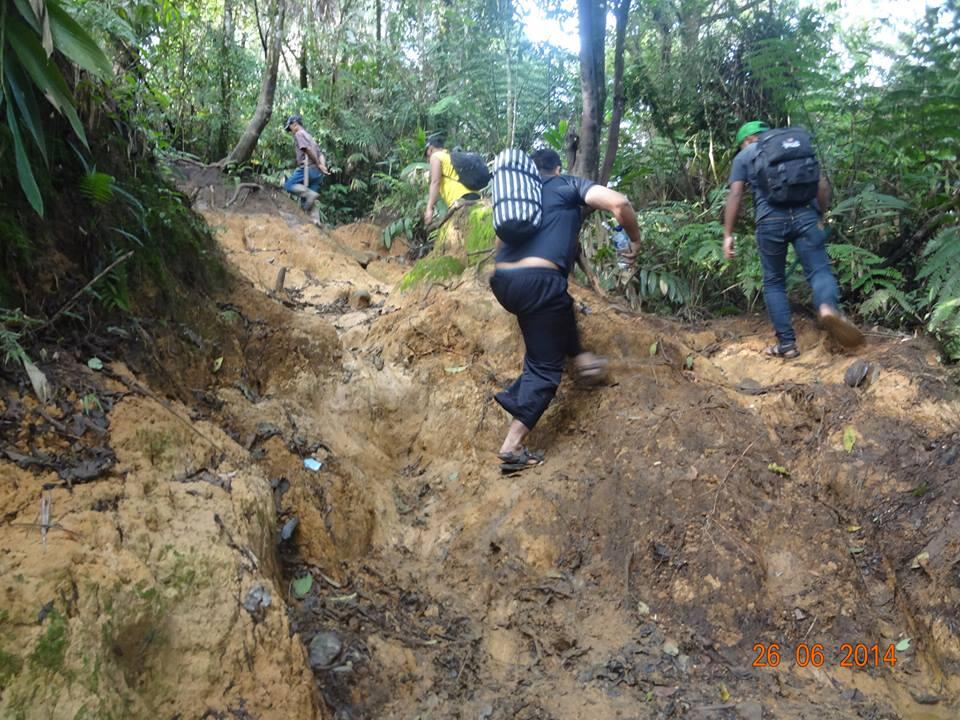 Yuk!! ke Gunung Halimun Salak. 