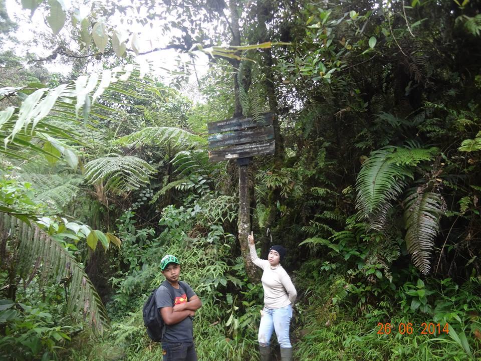 Yuk!! ke Gunung Halimun Salak. 