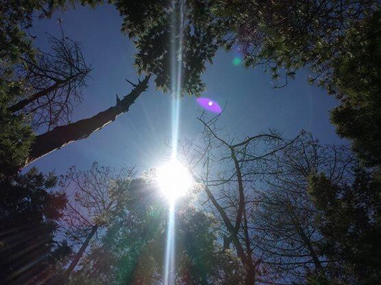 EKSPEDISI MERDEKA GUNUNG MERBABU