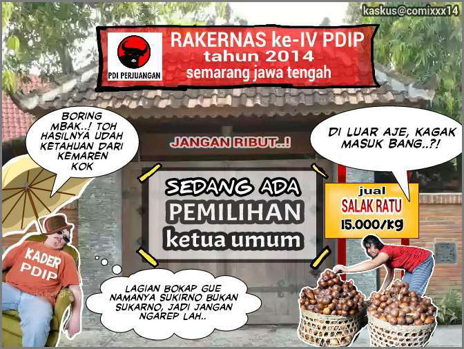 Balada sebiji salak (sinetron terbaik 2014)