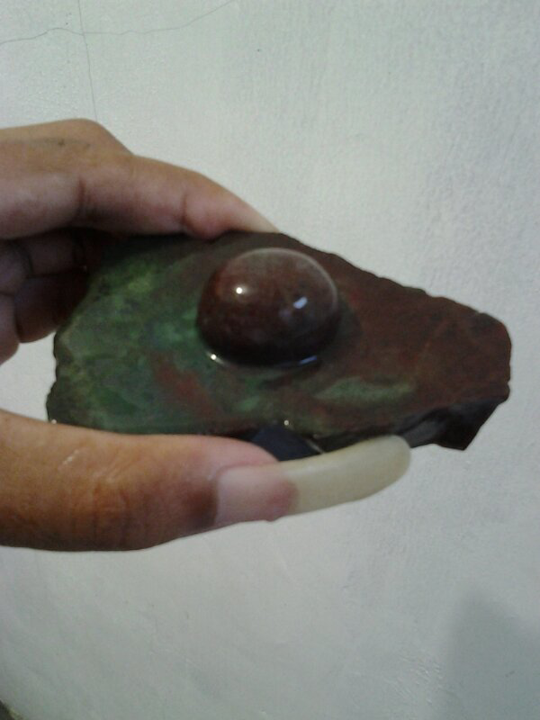 Lumut Ternate - Kasiruta Merah Ijo bukan Bacan
