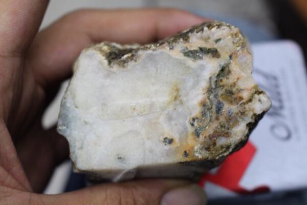 Numpang Jualan Bacan Putih Gan