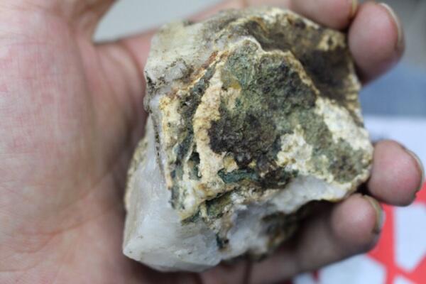 Numpang Jualan Bacan Putih Gan