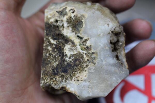 Numpang Jualan Bacan Putih Gan