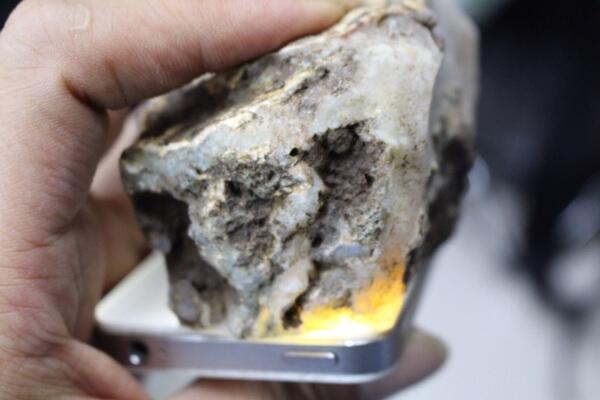 Numpang Jualan Bacan Putih Gan