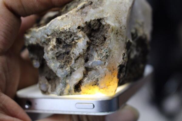 Numpang Jualan Bacan Putih Gan