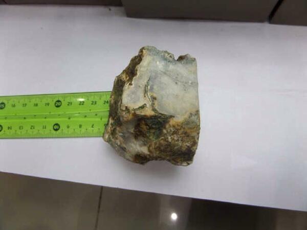 Numpang Jualan Bacan Putih Gan