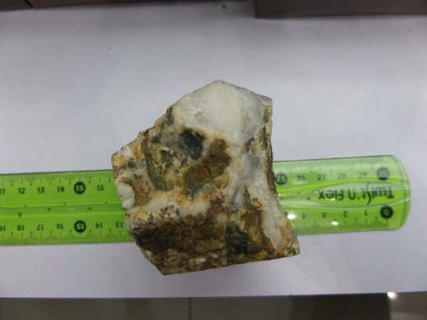 Numpang Jualan Bacan Putih Gan
