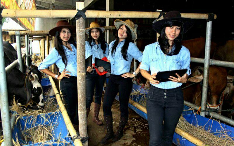(Trauma) Kami Bukan SPG Sapi... !!!!!
