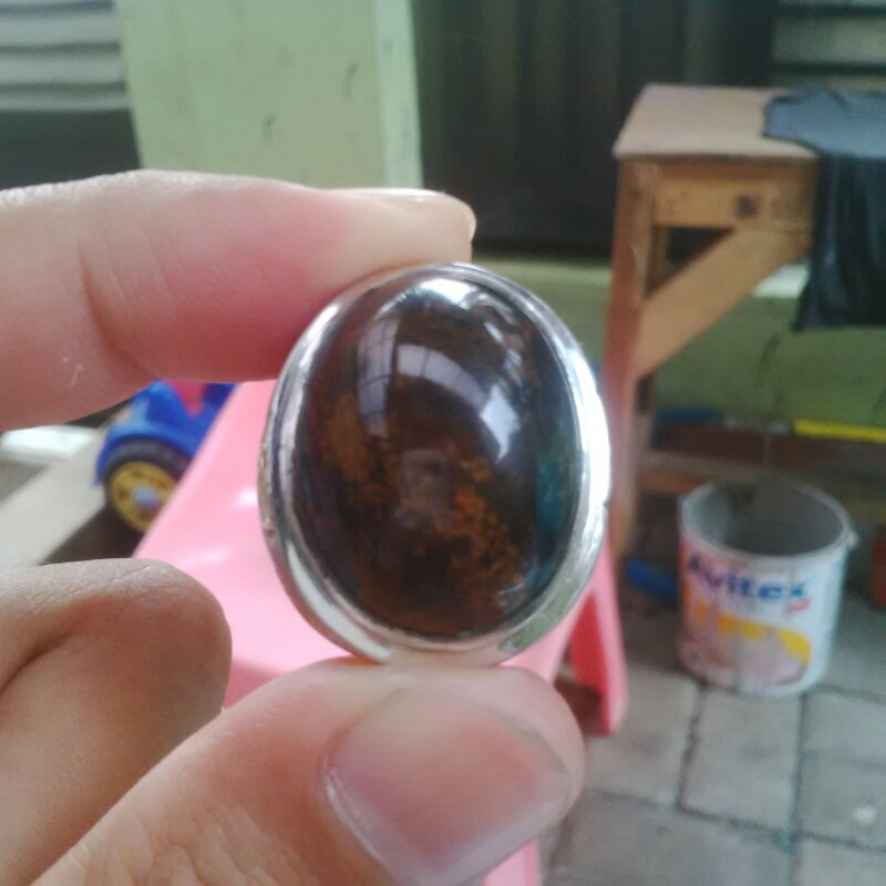 terjual bacan batang coklat kaskus terjual bacan batang coklat kaskus