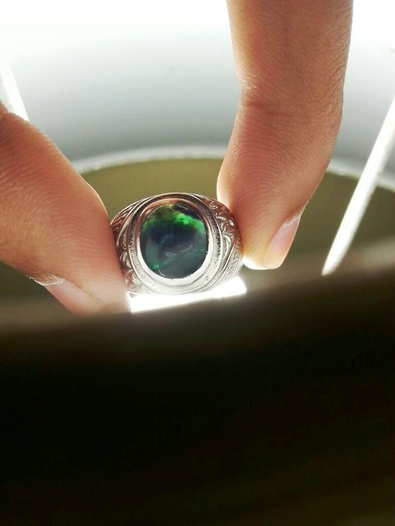 Jual Cepat Bacan Doko Imut Tembus
