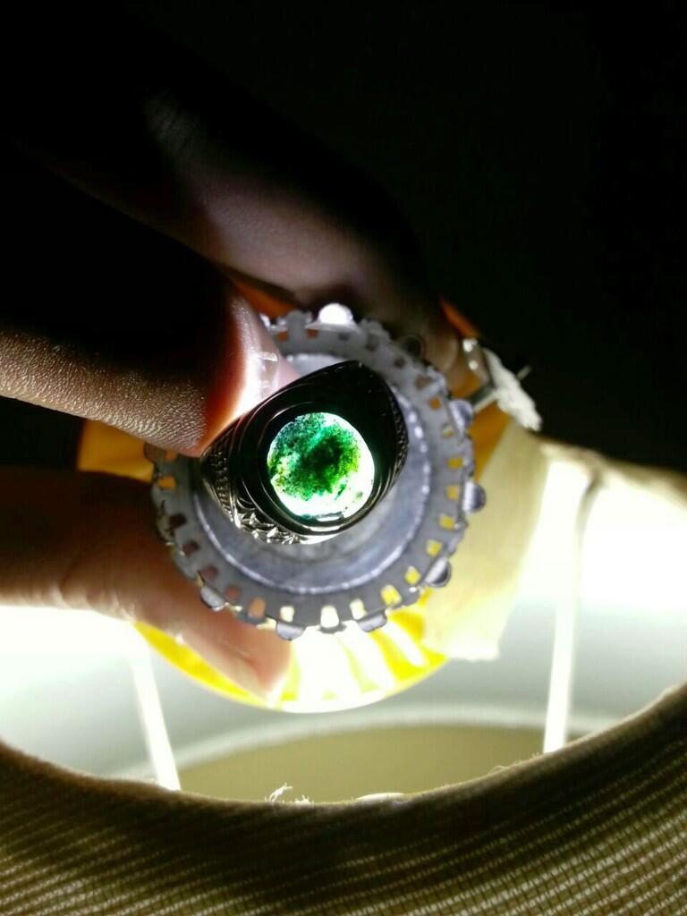 Jual Cepat Bacan Doko Imut Tembus