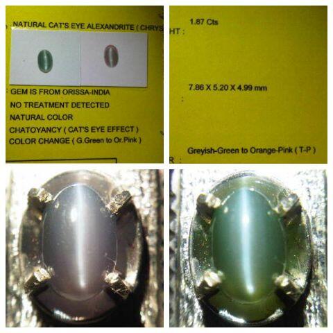 Alexandrite Chrissoberyl Cats Eye