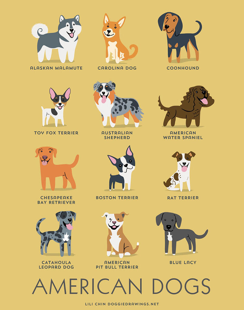 Ini Lhoh Gan, Macam-Macam Ras Anjing di Seluruh Dunia