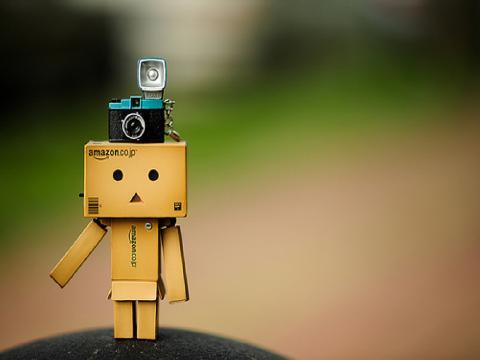 Asal Usul Sejarah Boneka Danbo Dan Beberapa Foto Lucunya