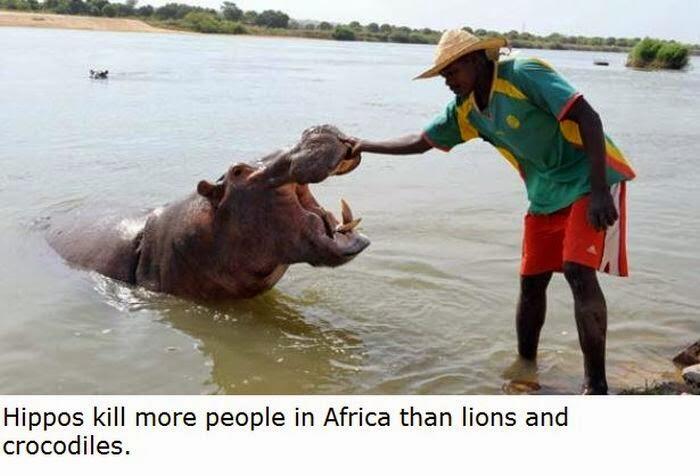 22 Fakta Tentang Afrika Yang Mungkin Belum Agan Ketahui