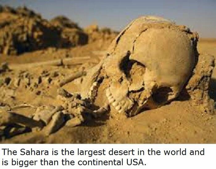 22 Fakta Tentang Afrika Yang Mungkin Belum Agan Ketahui
