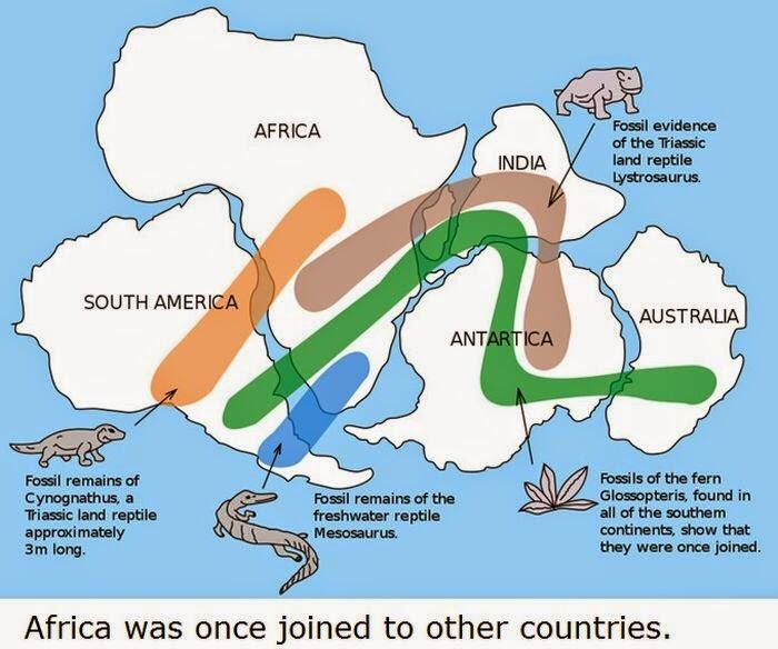 22 Fakta Tentang Afrika Yang Mungkin Belum Agan Ketahui