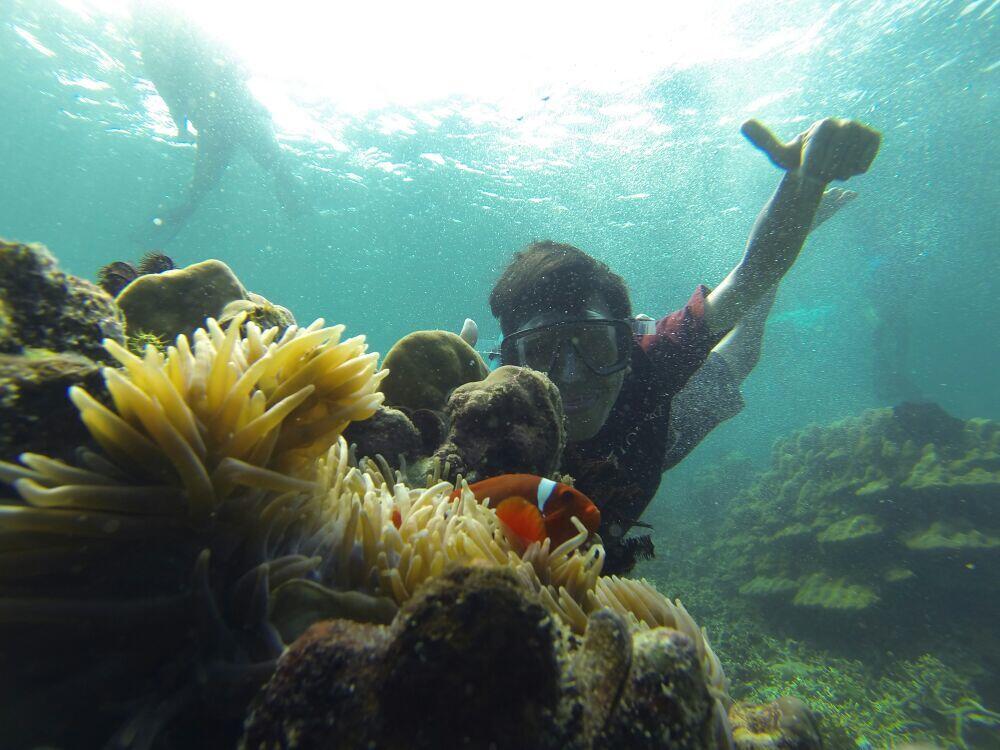 &#91;Ajakan&#93; Latihan Free-Diving &amp; Snorkeling PULAU TUNDA 18-19 OKT 2014 ONLY 310rb