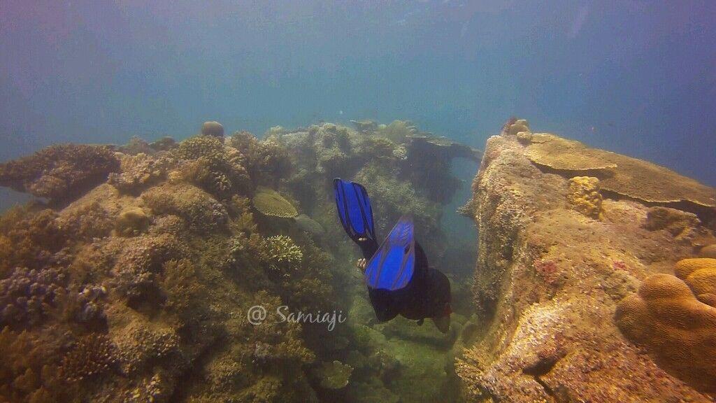 &#91;Ajakan&#93; Latihan Free-Diving &amp; Snorkeling PULAU TUNDA 18-19 OKT 2014 ONLY 310rb