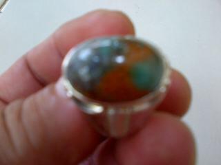 Garut Tosca PW & Garut Cincau