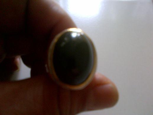 Garut Tosca PW & Garut Cincau