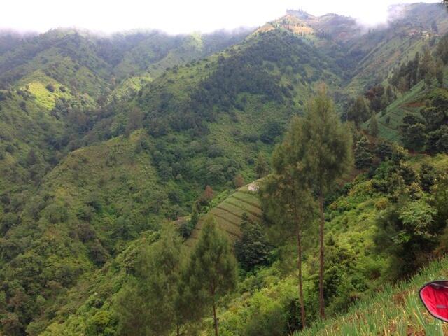 NEGERI DI ATAS AWAN- PUNCAK B29 LUMAJANG 2900 mdpl