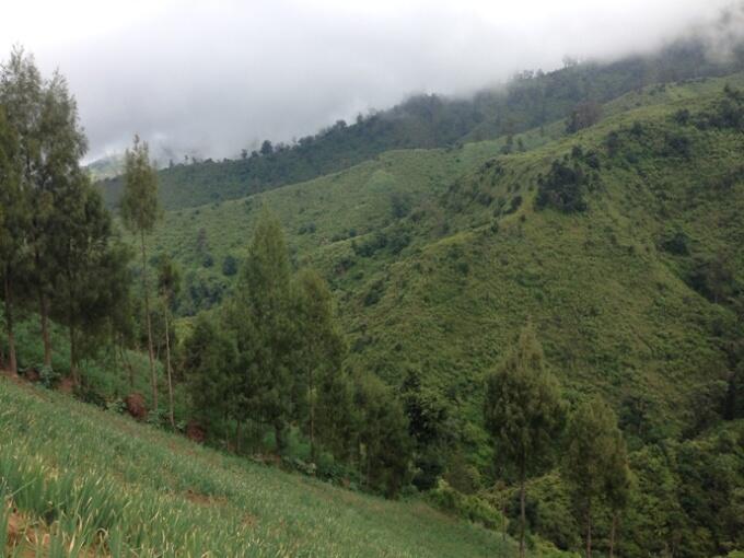 NEGERI DI ATAS AWAN- PUNCAK B29 LUMAJANG 2900 mdpl