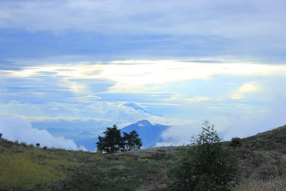 &#91;CATPER&#93; #LATEPOST Bukit Teletubies Gunung Prau 16-17 November 2013