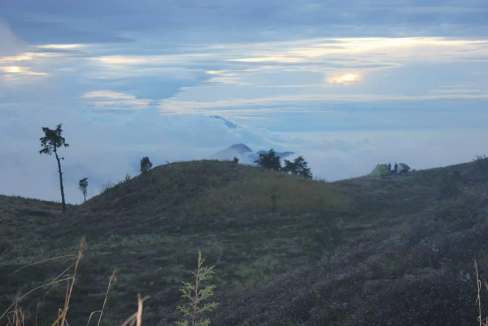 &#91;CATPER&#93; #LATEPOST Bukit Teletubies Gunung Prau 16-17 November 2013