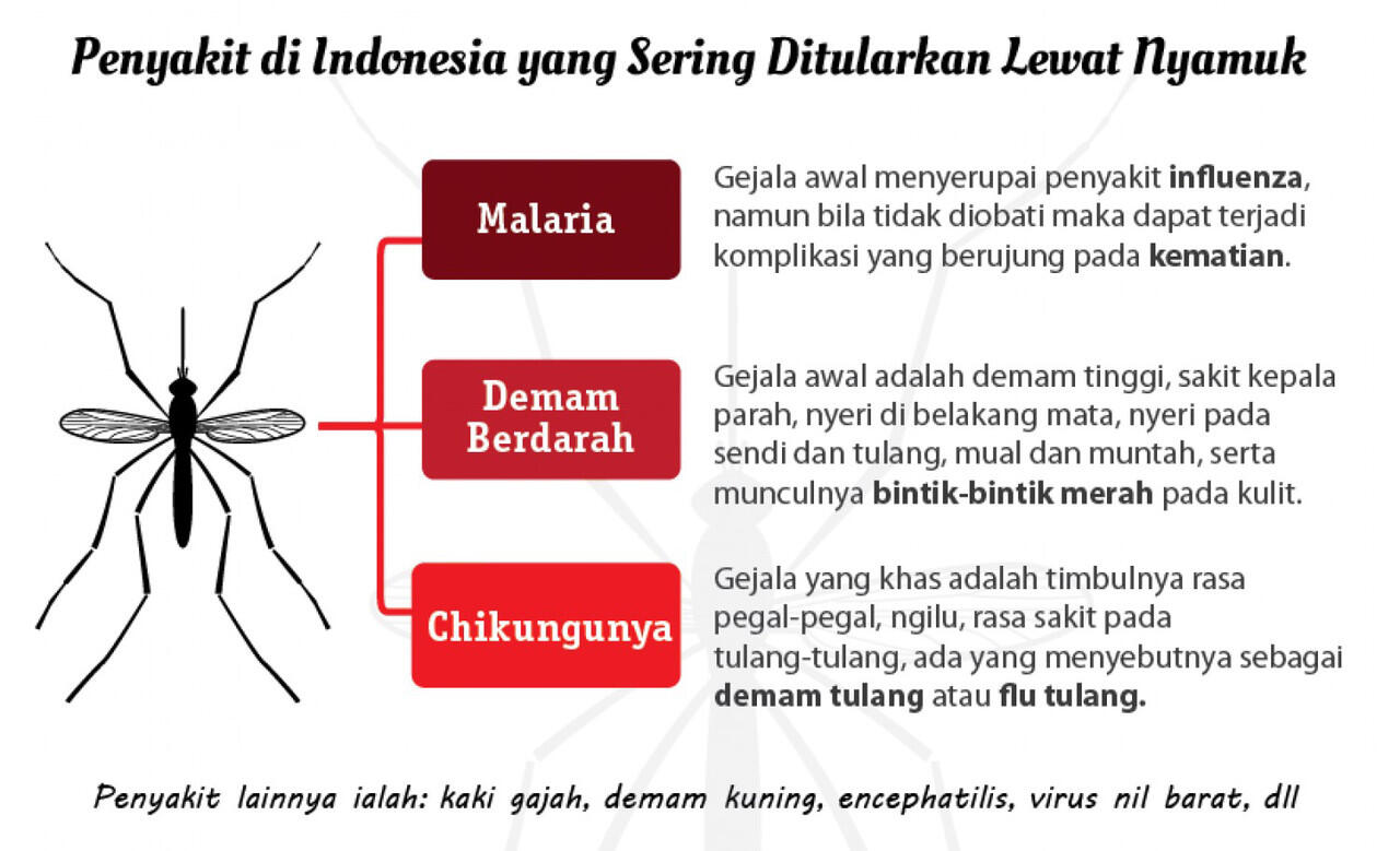 Pembunuh No 1 di Dunia ☆★☆  KASKUS