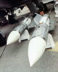 (Tanya)AA-9 Amos or R-33