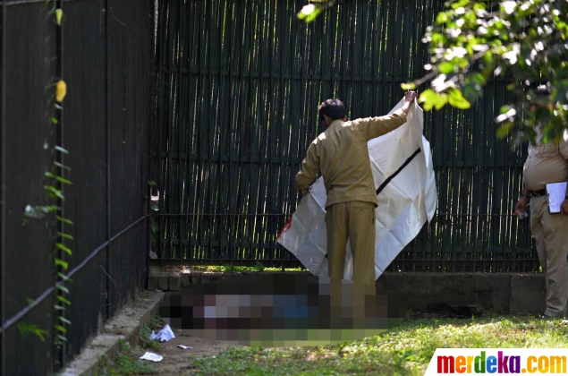 &#91;Pic + Video&#93; Harimau Makan Orang yang Jatuh ke Kandangnya