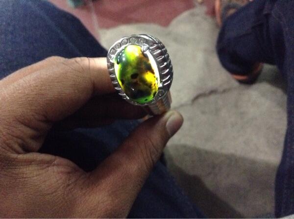 Jual bacan Doko murahh!!!