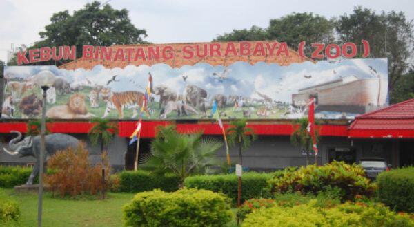 &#91;UNDANGAN&#93; Pemiliha RL Surabaya