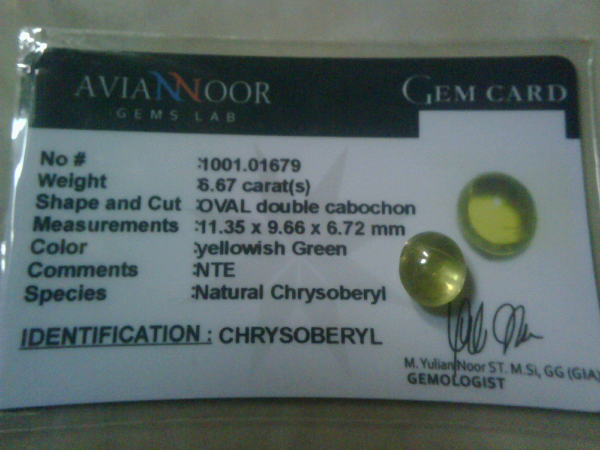 chrysoberyl nte 6 crt + memo