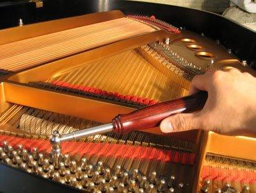 Piano Stem &amp; Service Organ