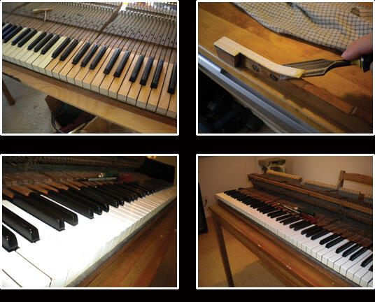 Piano Stem &amp; Service Organ