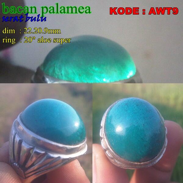 jual ngebut BACAN palamea... ukuran besar ijo tembus, warna sedep