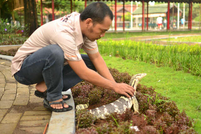 Pemberian Nama Hewan Peliharaan Termainstream