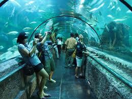Sea World Disegel, pengunjung curi-curi masuk
