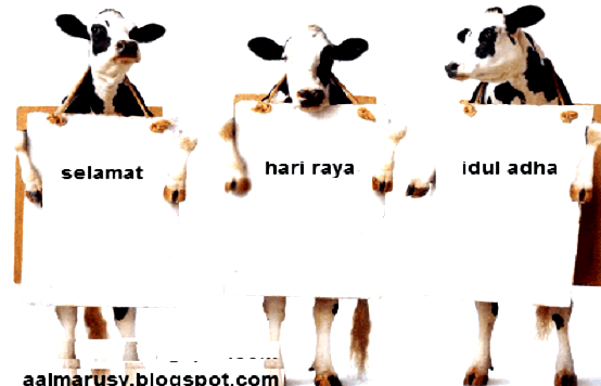 Agan-agan Ada Yang Nanti Mau Qurban? Kenali Syarat-syarat Hewan Qurban