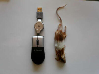 Trik Membuat Mouse Komputer Sendiri yang UNIK