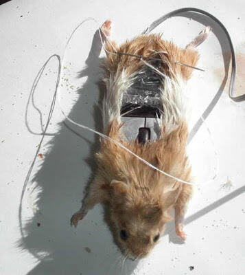 Trik Membuat Mouse Komputer Sendiri yang UNIK