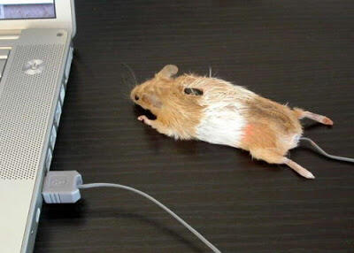 Trik Membuat Mouse Komputer Sendiri yang UNIK