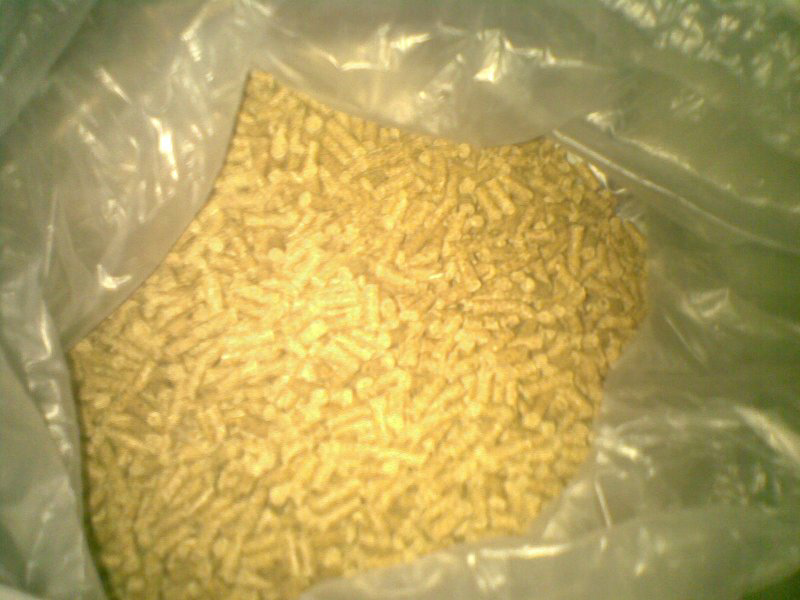 makanan kelinci berkualitas