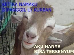 MEME of IDUL ADHA &#91;ayo masuk, mari kita ngakak&#93;